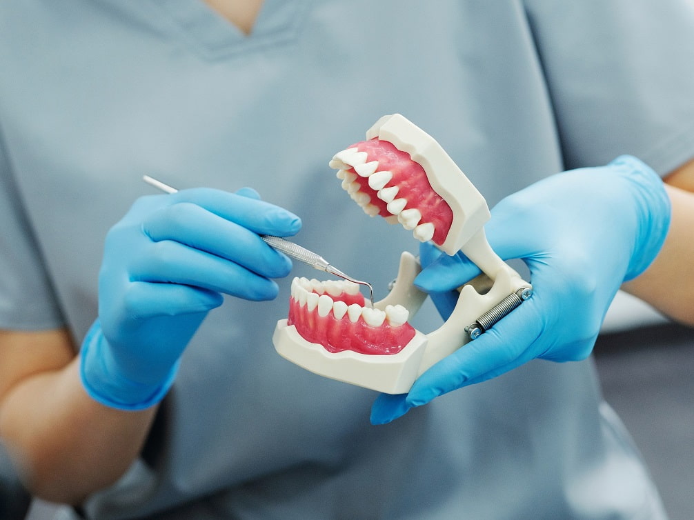 Numeracja zębów w jamie ustnej (system Viohla)